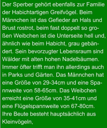 Der Sperber gehört ebenfalls zur Familie  der Habichtartigen Greifvögel. Beim  Männchen ist das Gefieder an Hals und  Brust rostrot, beim fast doppelt so gro- ßen Weibchen ist die Unterseite hell und, ähnlich wie beim Habicht, grau gebän- dert. Sein bevorzugter Lebensraum sind  Wälder mit alten hohen Nadelbäumen.  Immer öfter trifft man ihn allerdings auch  in Parks und Gärten. Das Männchen hat  eine Größe von 29-34cm und eine Spa- nnweite von 58-65cm. Das Weibchen erreicht eine Größe von 35-41cm und  eine Flügelspannweite von 67-80cm.  Ihre Beute besteht hauptsächlich aus  Kleinvögeln,